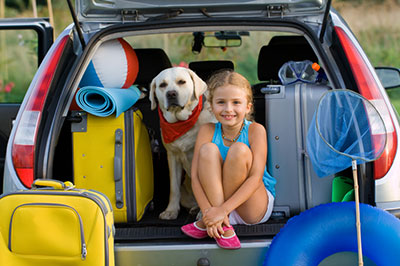 a dog sitting on top of a car